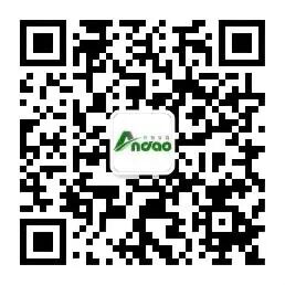 177425675632755